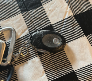ESD Electric Sliding Door By Alex Original Key Fob Remote